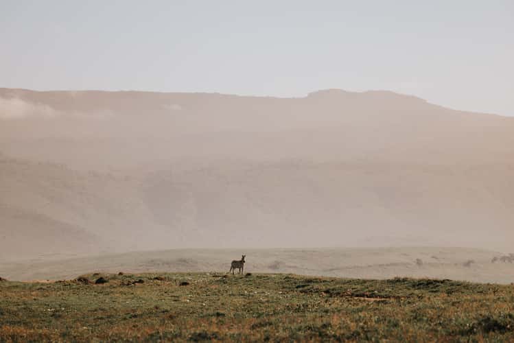 Small hill inside Ngorongoro Crater National Park
