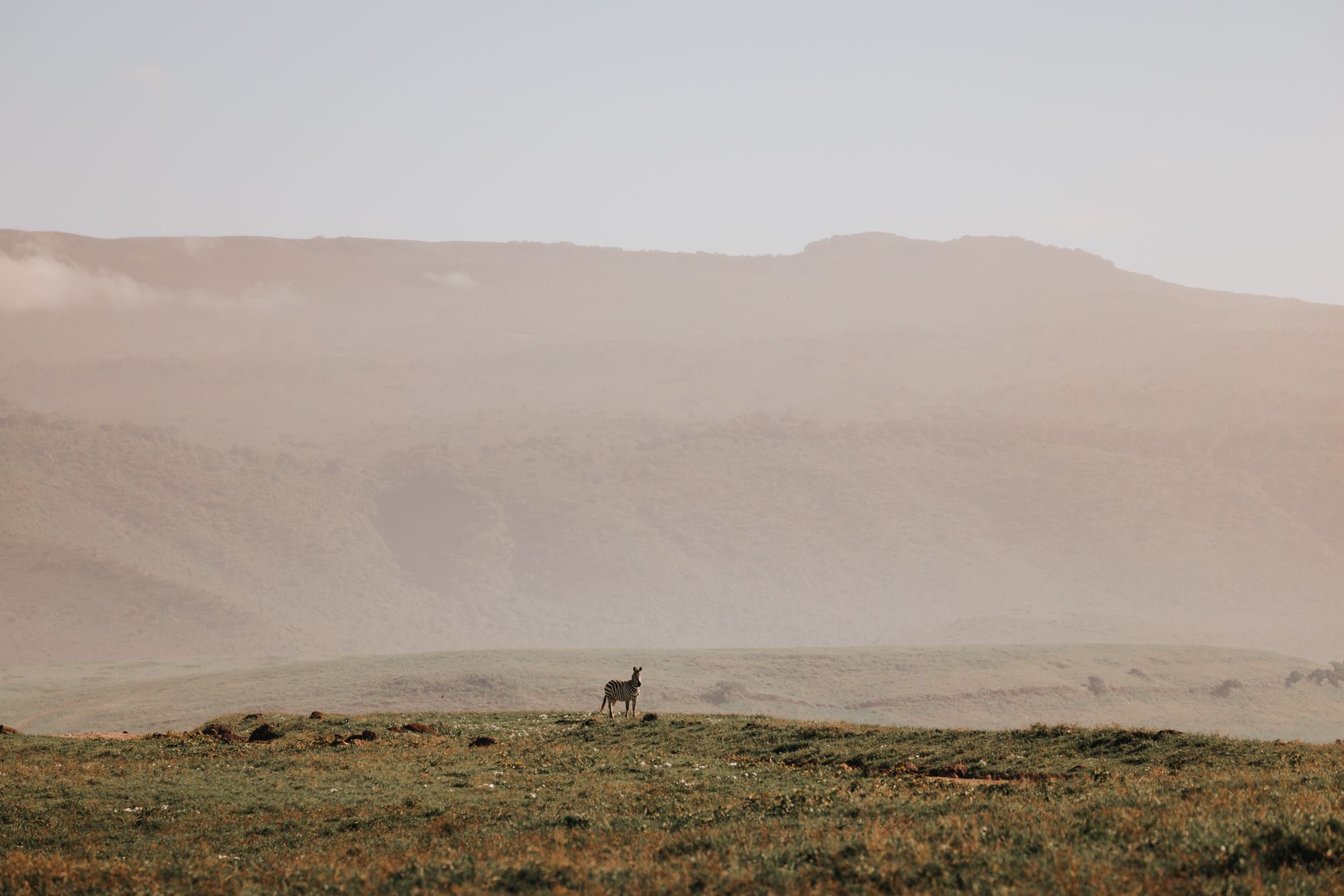 Small hill inside Ngorongoro Crater National Park, Tanzania