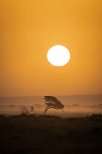 Sunrise in Amboseli National Park