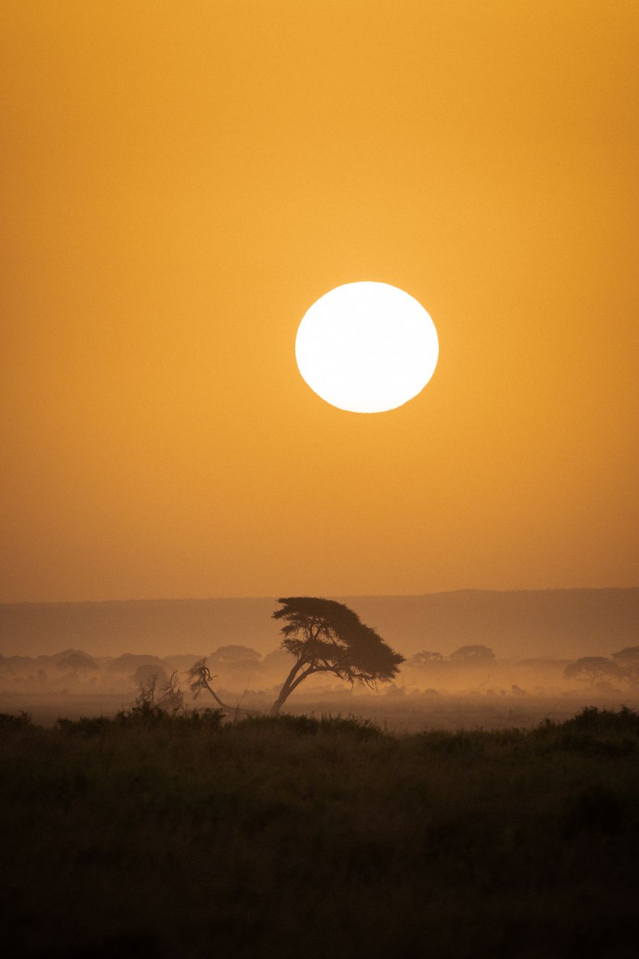 Sunrise in Amboseli National Park, Kenya