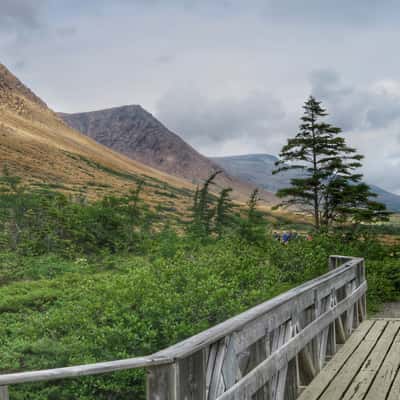 Tablelands - Gros Morne National Park, Canada
