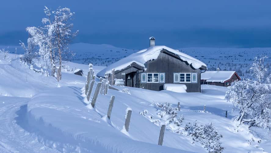 Tormodset, Ål