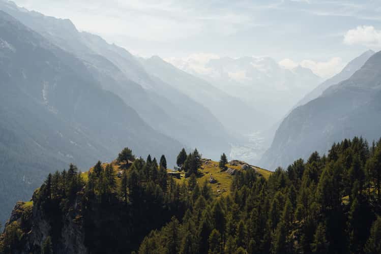 Twära Views