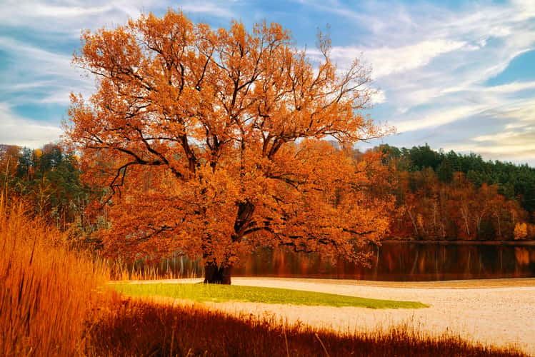Twistesee im Herbst