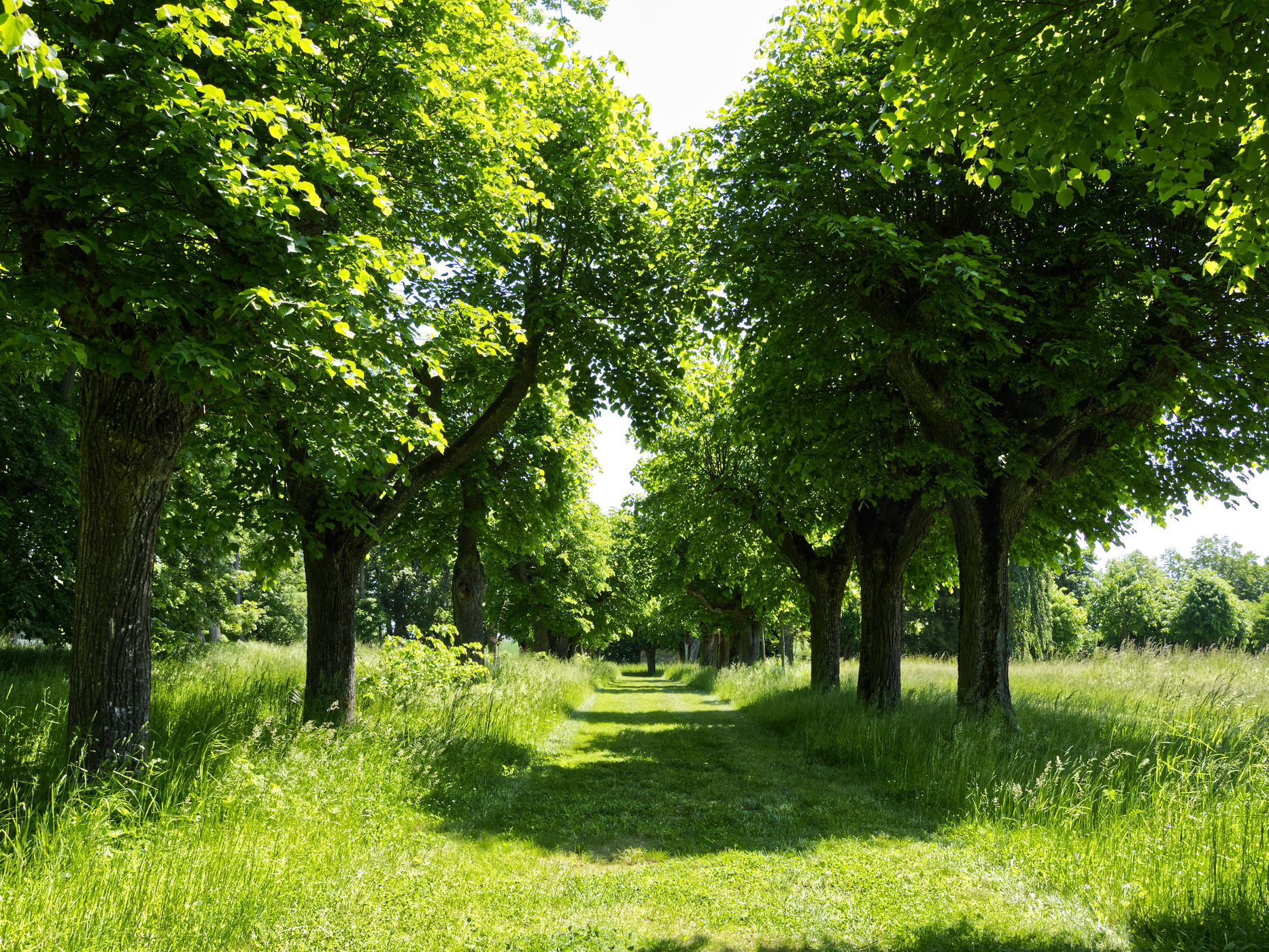 Uherčice Chateau - park, Czech Republic