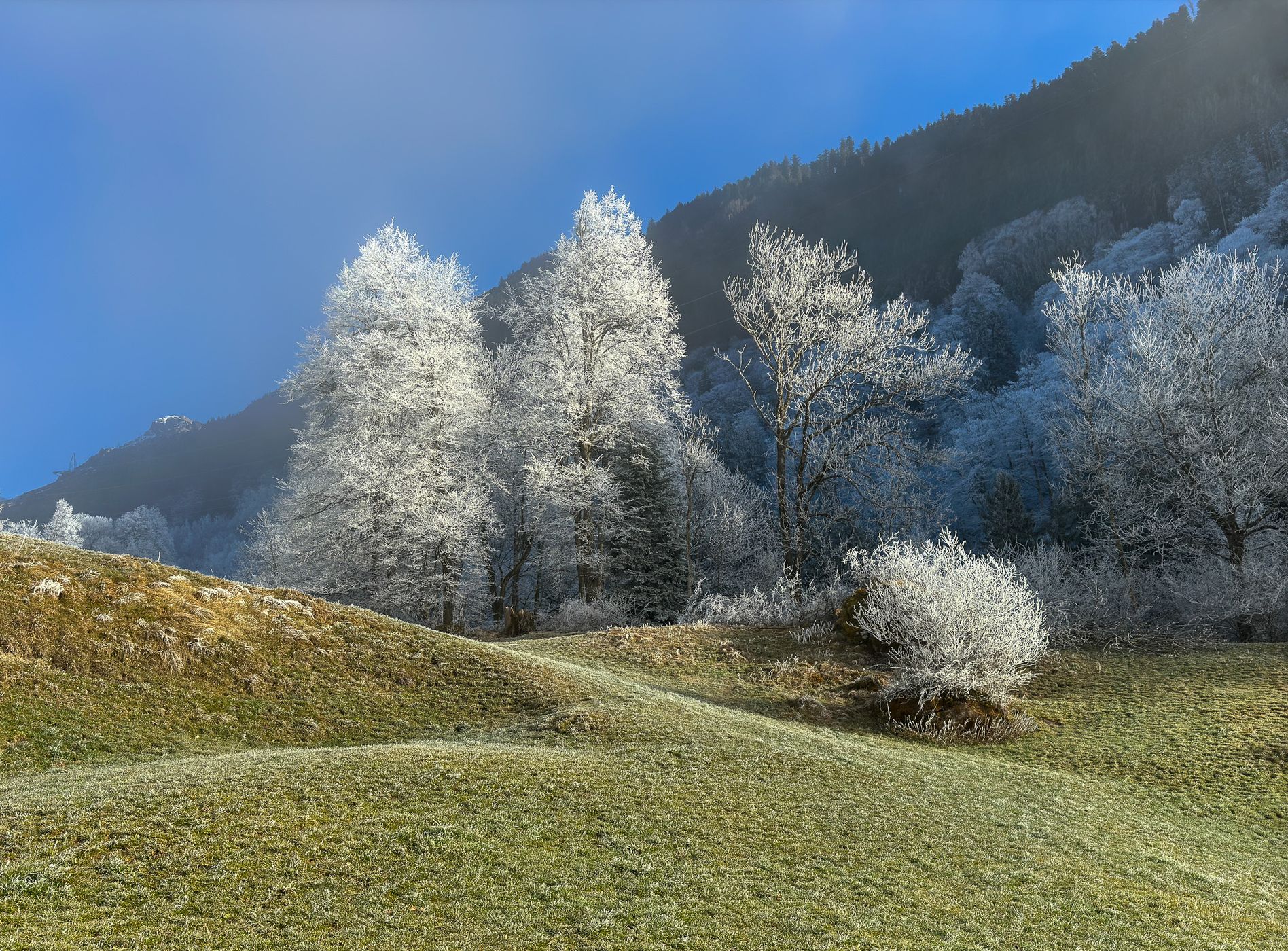 View on Mitlödi/GL, Switzerland