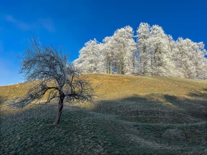 View on Mitlödi/GL
