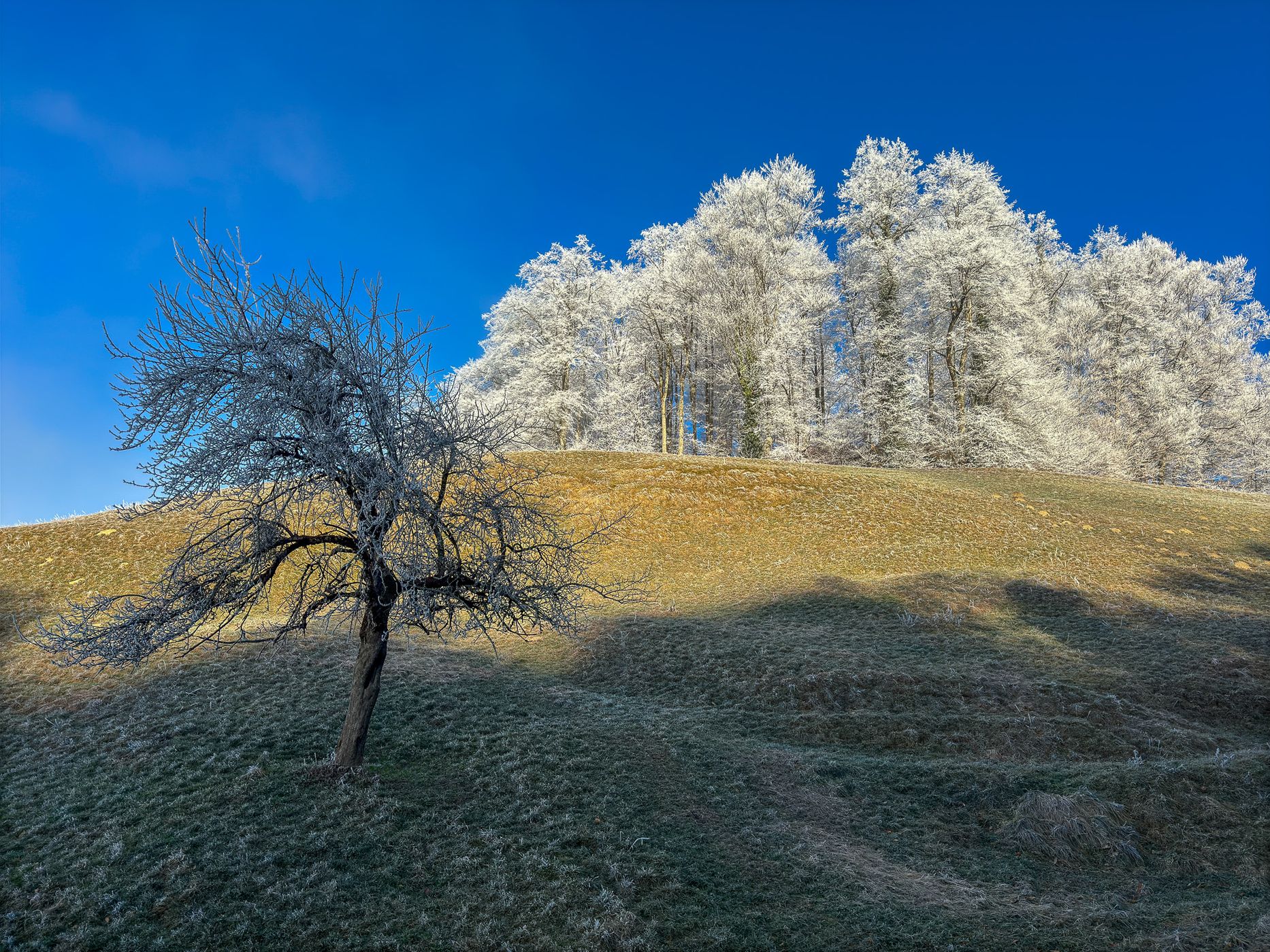 View on Mitlödi/GL, Switzerland