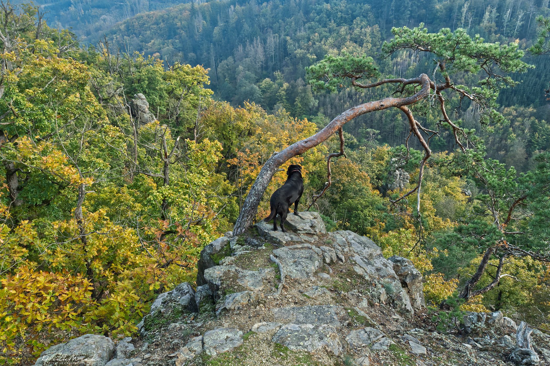 View point 'Na Babách', Czech Republic