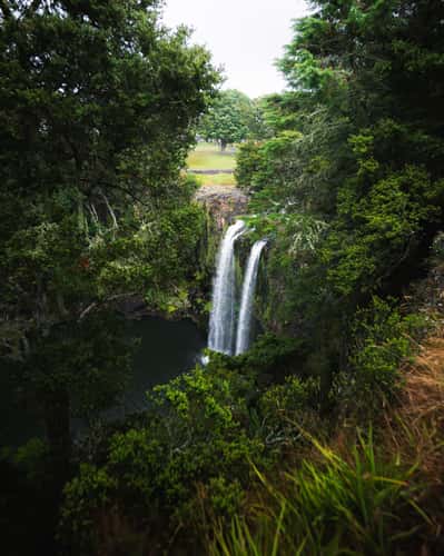 Whangarai Falls
