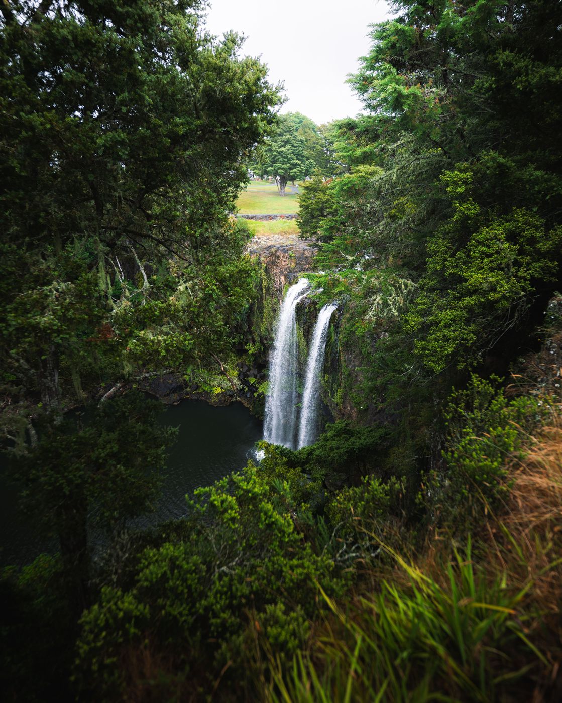Whangarai Falls, New Zealand