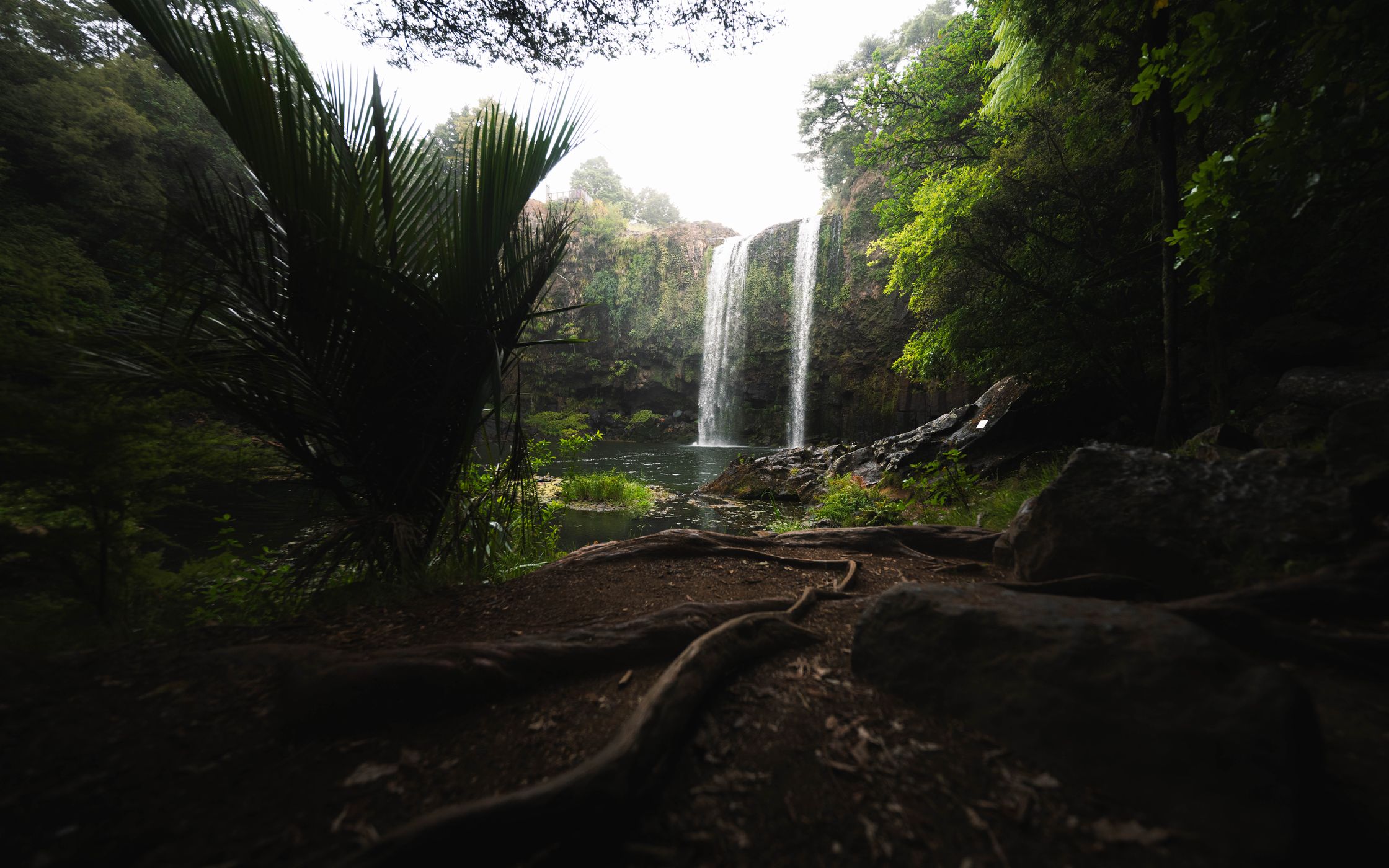 Whangarei Fall, New Zealand