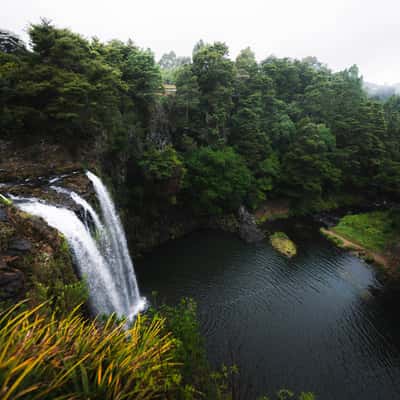 Whangarei Falls, Upper Viewpoint, New Zealand