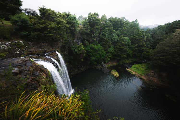 Whangarei Falls, Upper Viewpoint