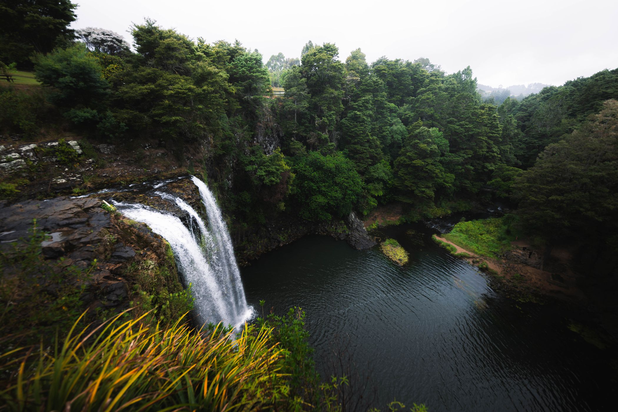 Whangarei Falls, Upper Viewpoint, New Zealand