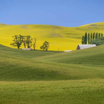 Yellow lands, USA