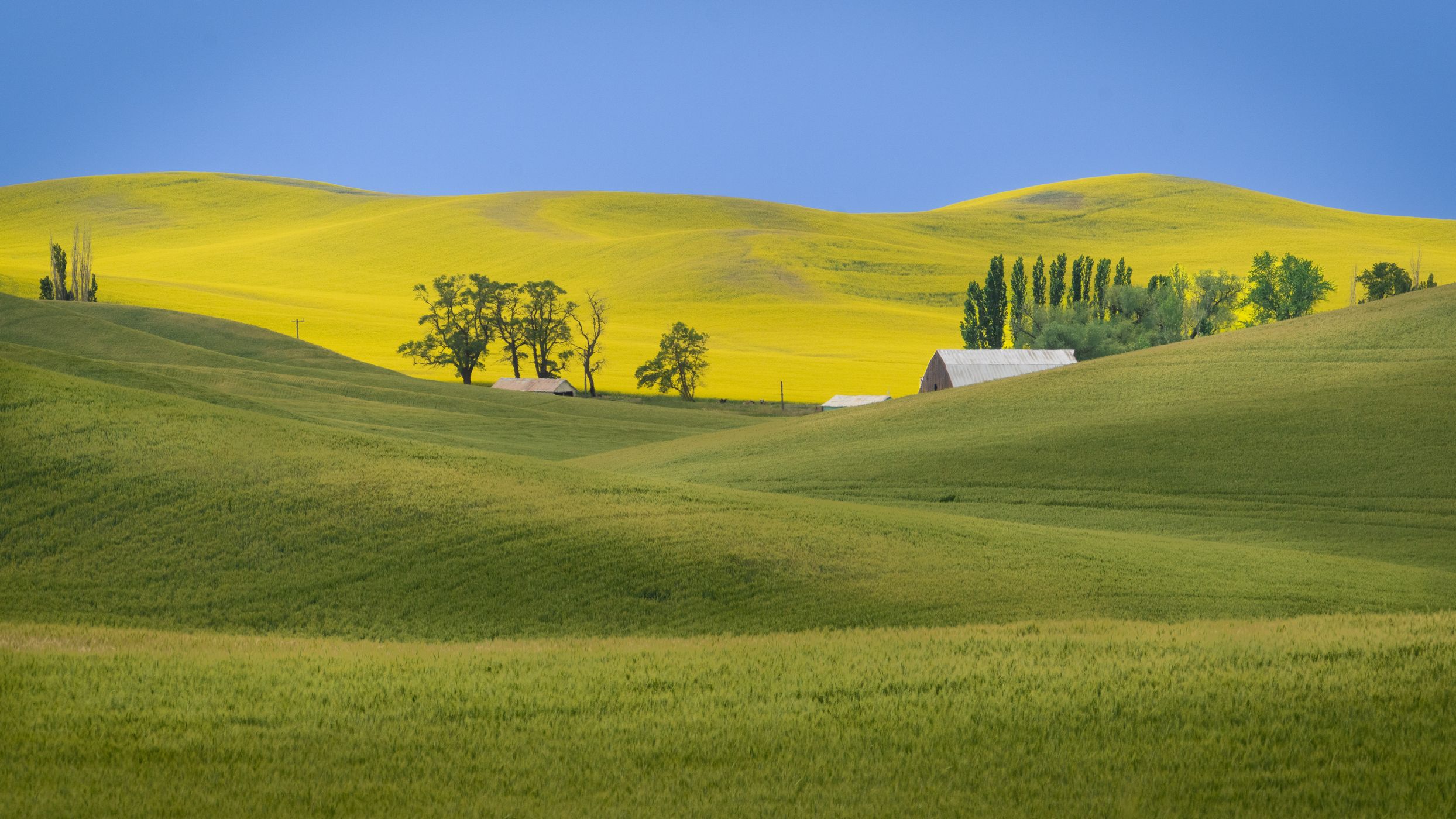 Yellow lands, USA