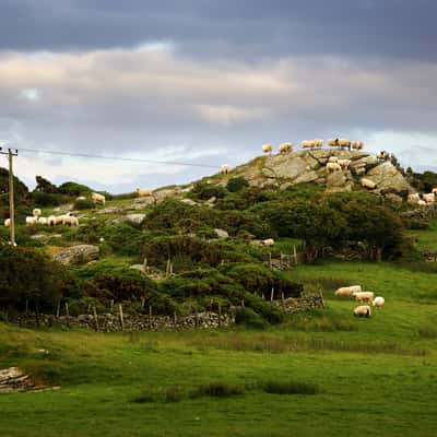 Ynys Môn, United Kingdom