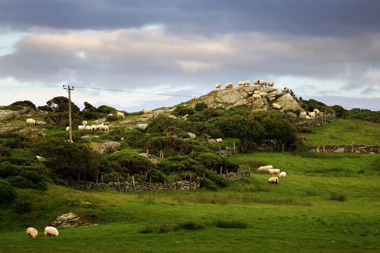 Ynys Môn