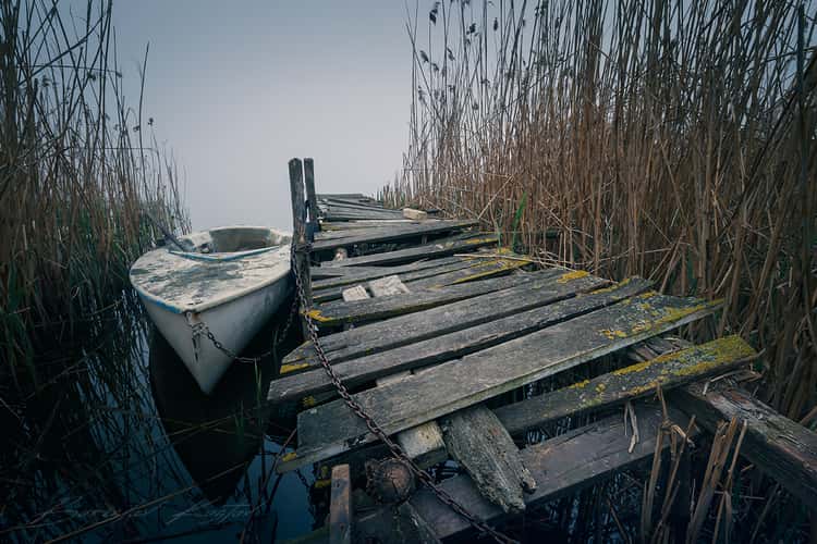 A boat