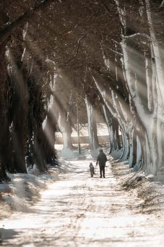 Blieschow Alley