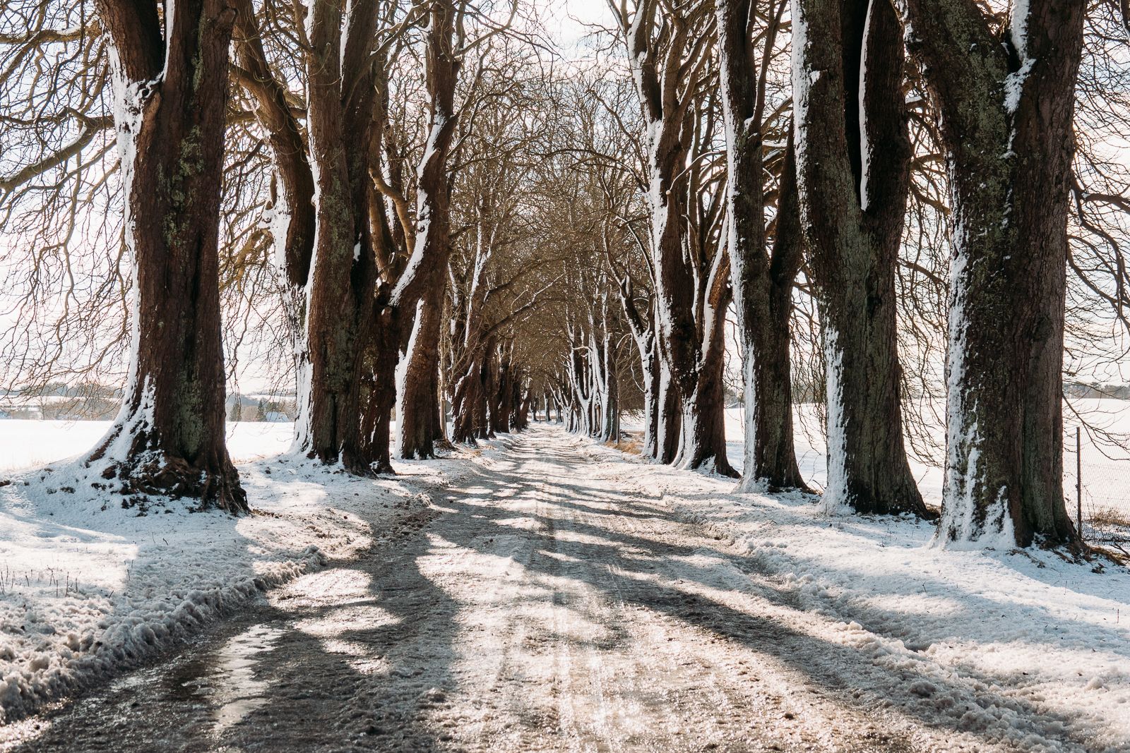 Blieschow Alley, Germany