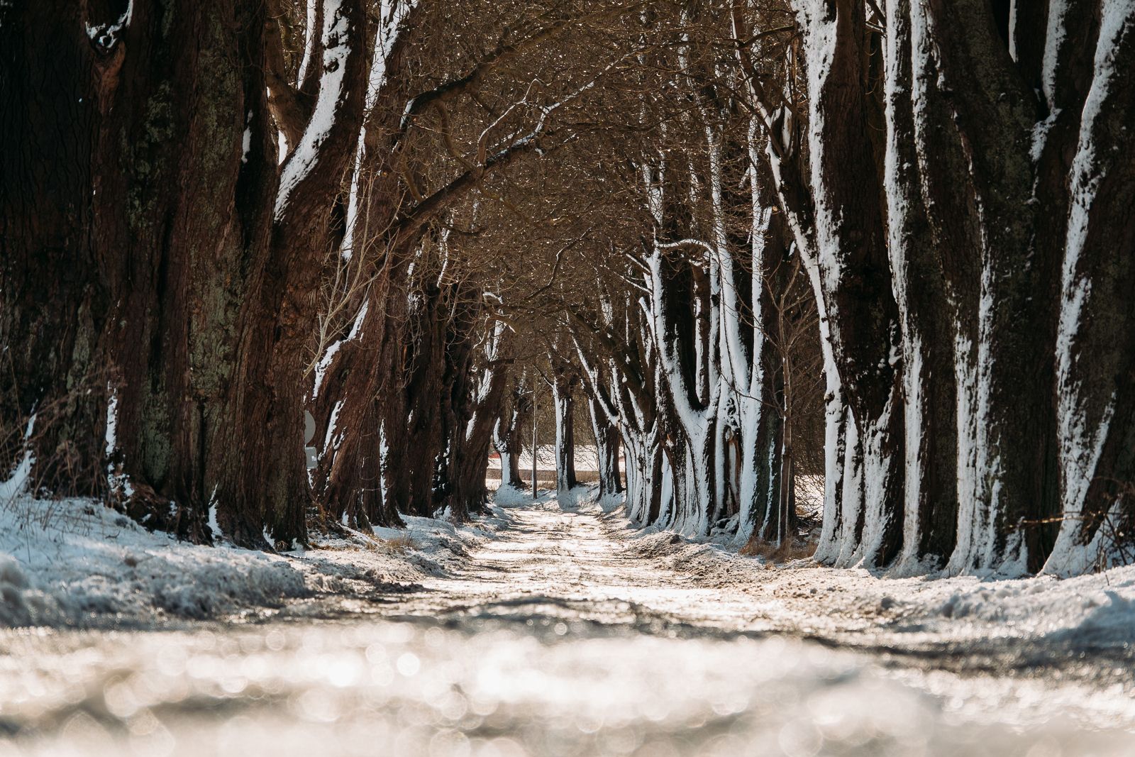 Blieschow Alley, Germany