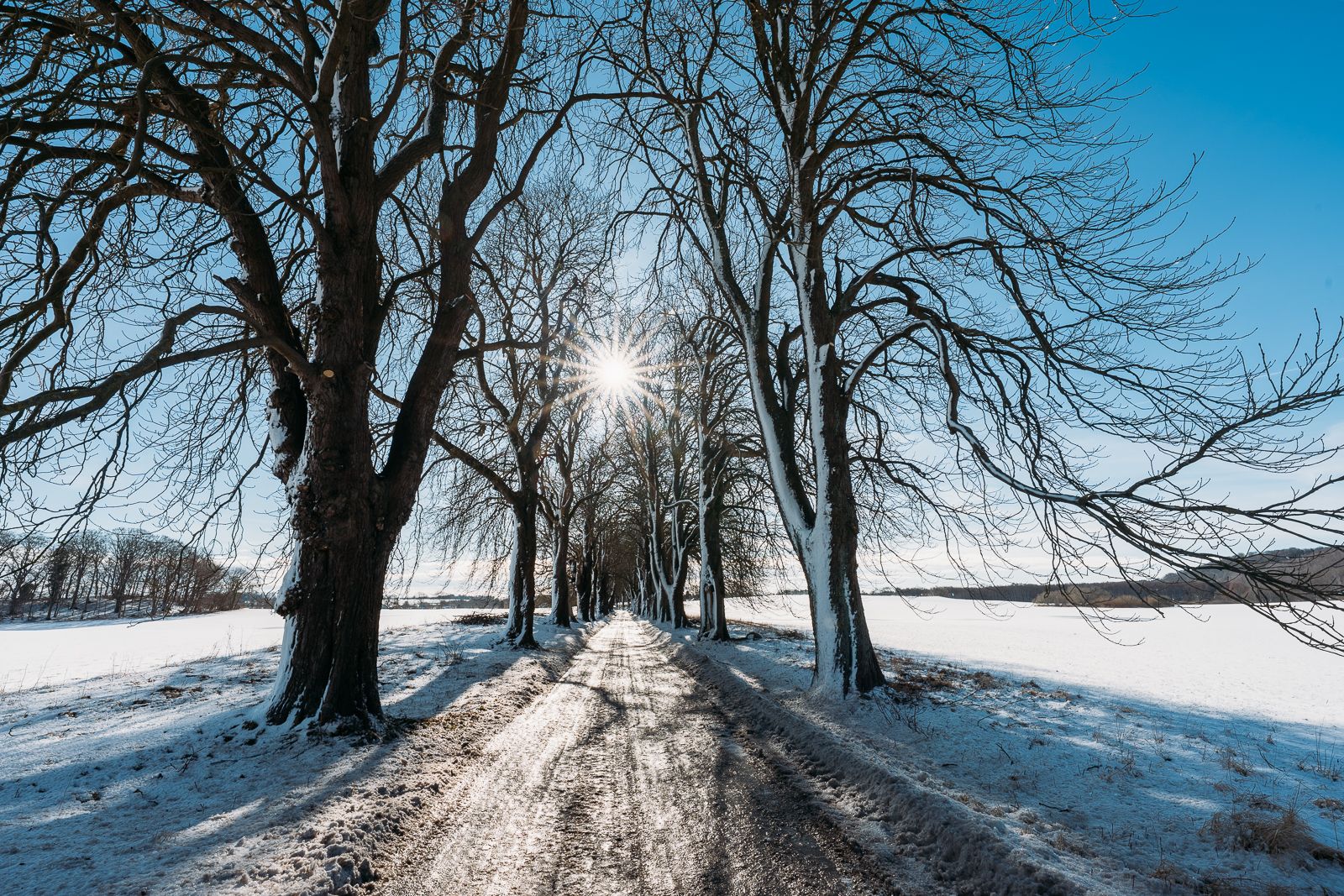 Blieschow Alley, Germany