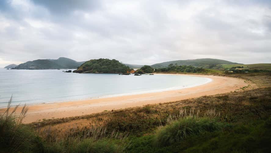 Campsite View Matai Bay