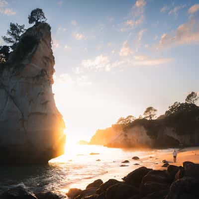 Te Hoho Rock at Cathedral Cove Colomandel, New Zealand