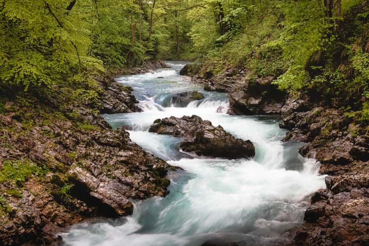 Down the river at the entrance of Vintgar