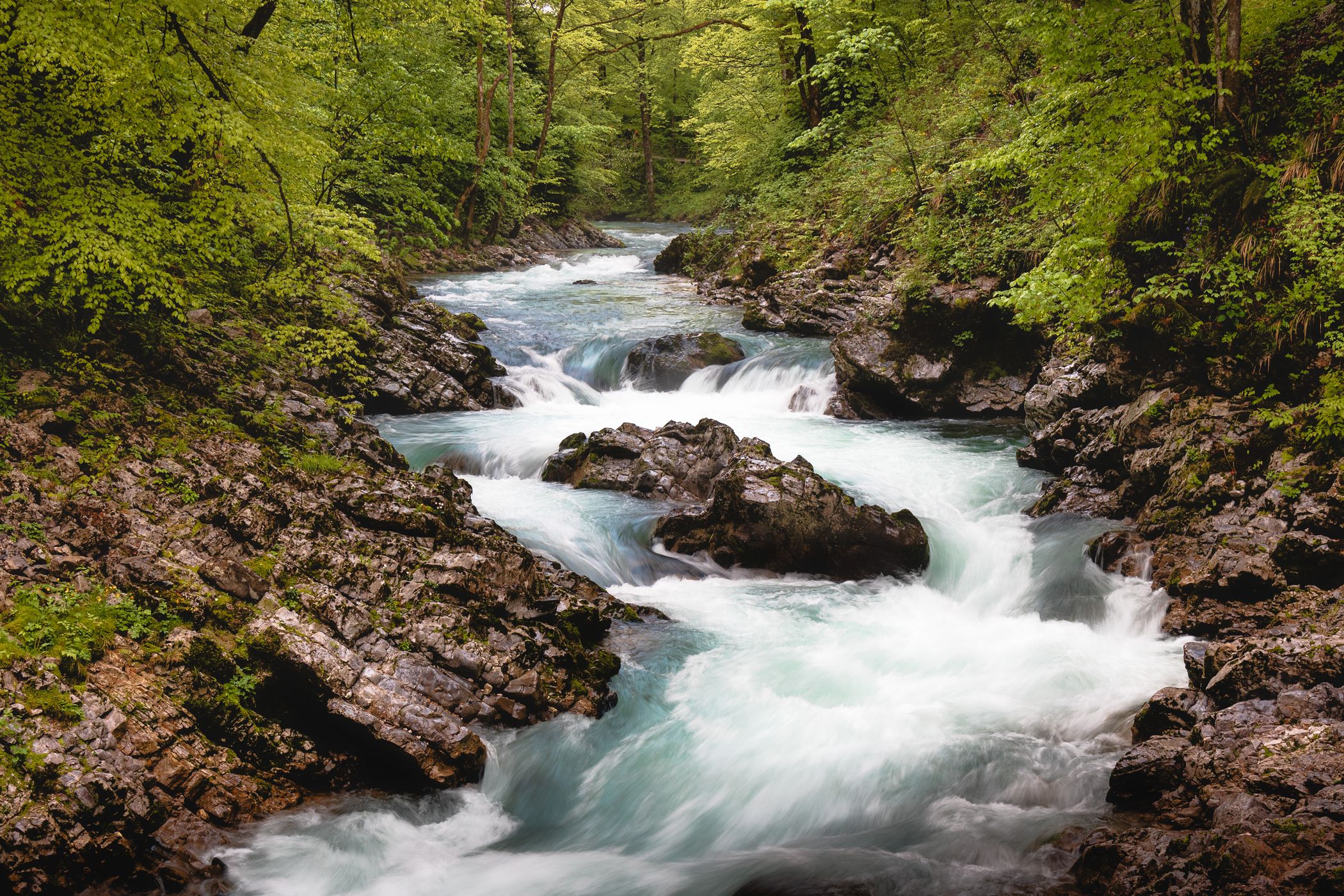 Down the river at the entrance of Vintgar, Slovenia