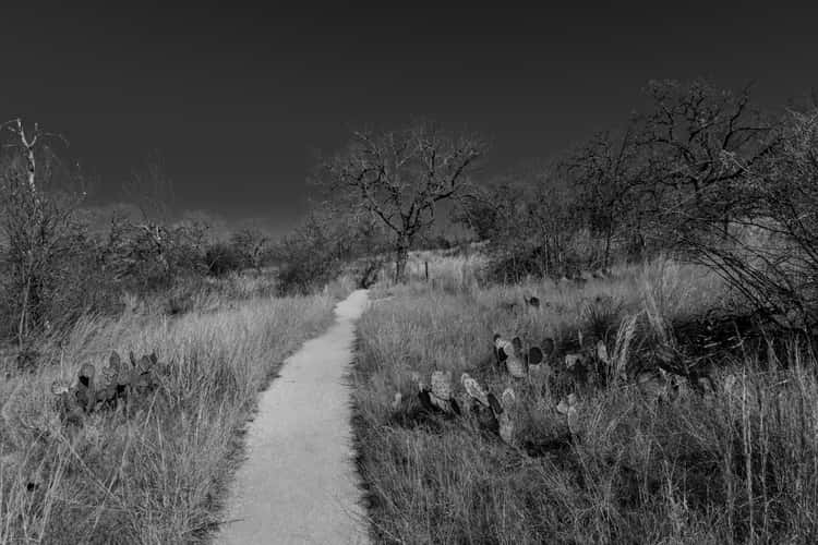 Enchanted Rock loop Trail