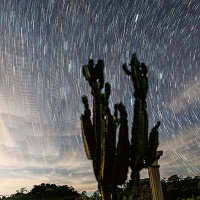Fazenda Santo Antonio, Brazil