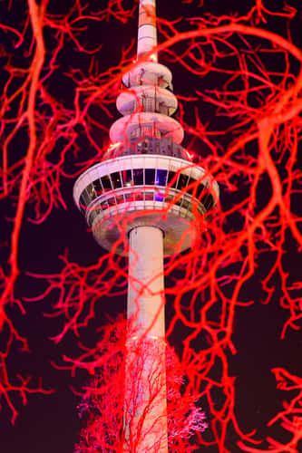 Fernmeldeturm Mannheim / Winterlichter im Luisenpark