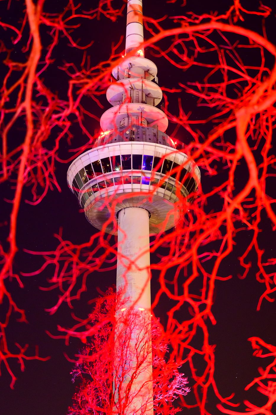 Fernmeldeturm Mannheim / Winterlichter im Luisenpark, Germany