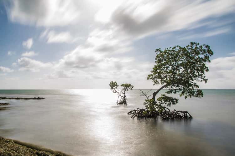 Florida Keys