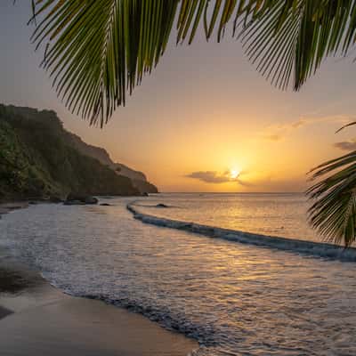 Grand Rivière's beach, Martinique