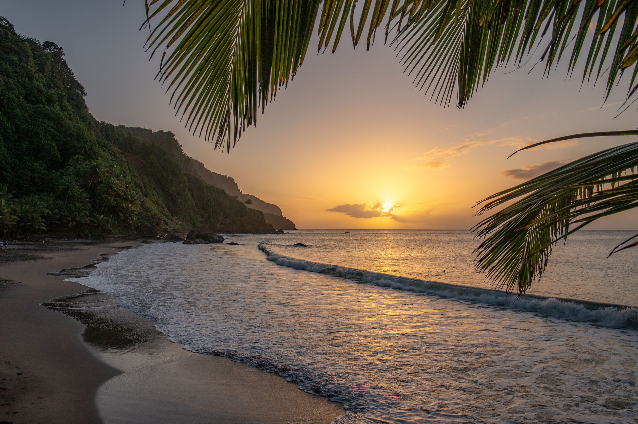Grand Rivière's beach, Martinique