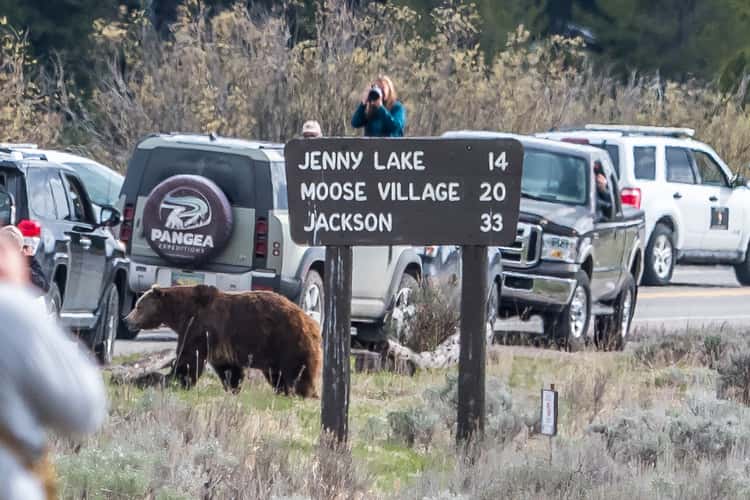 Grand Tetons national park