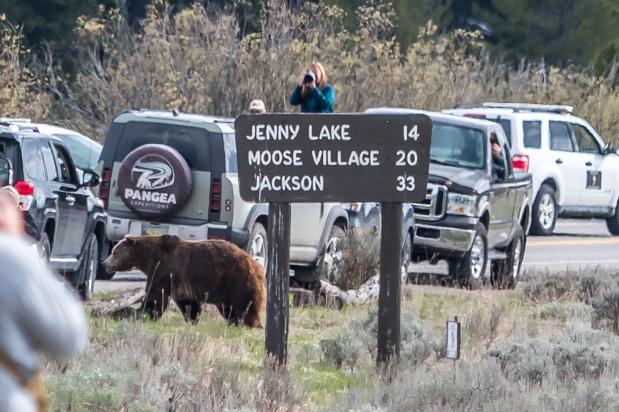 Grand Tetons national park, USA