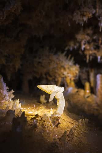 Grotte du Grand Roc