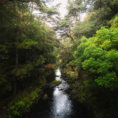 Hatea River, New Zealand