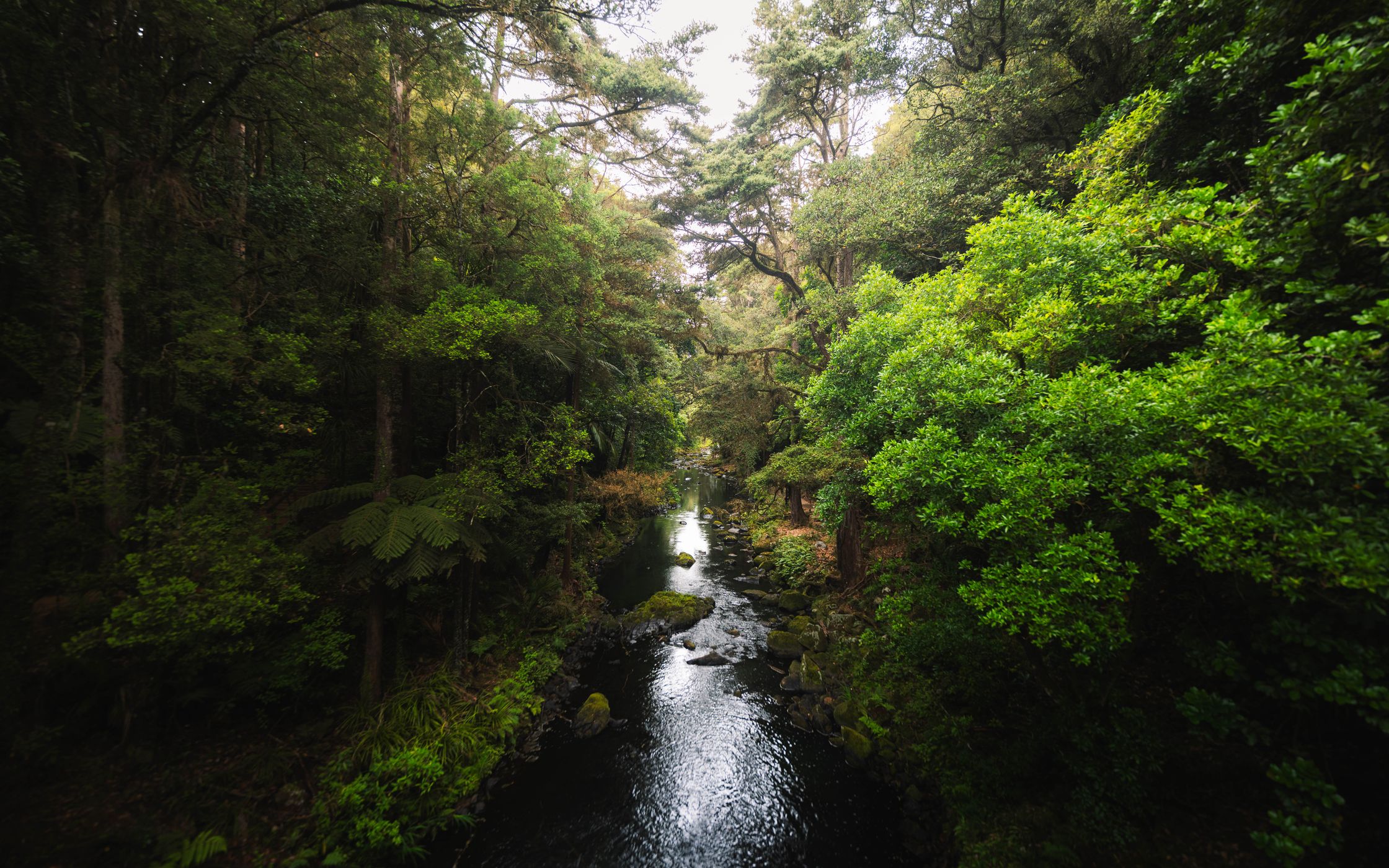 Hatea River, New Zealand