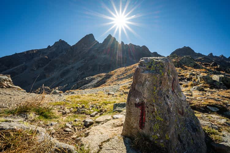 Madrisa