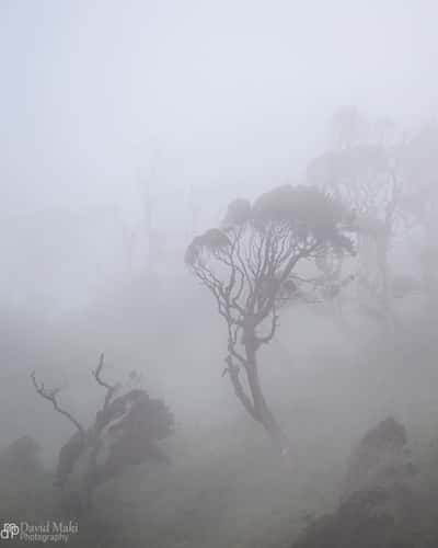Mari Mari Nature Reserve