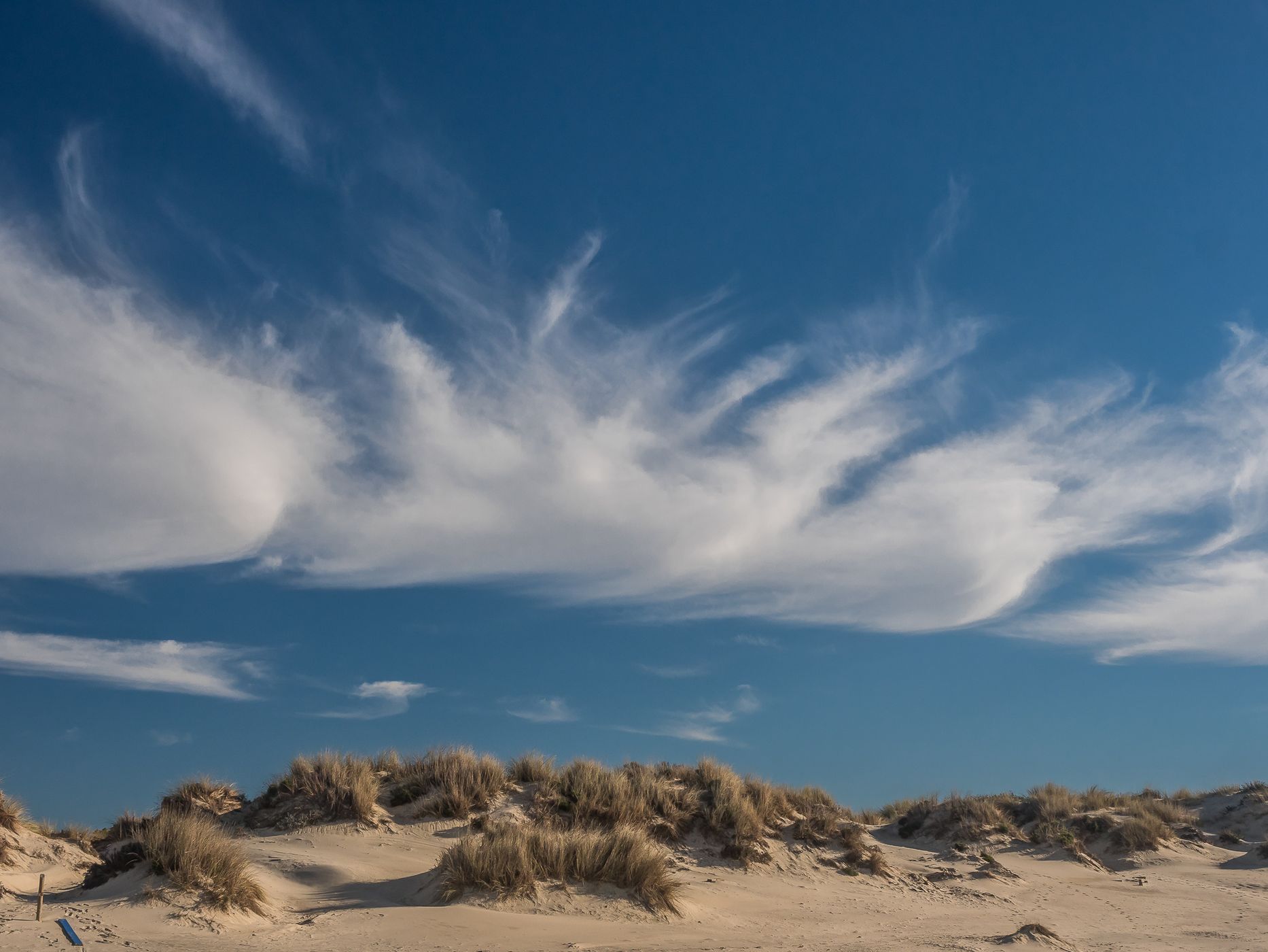 Matalascañas Beach, Spain