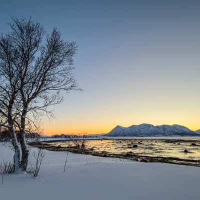 Morgenstimmung am Fjord in Åse, Norway