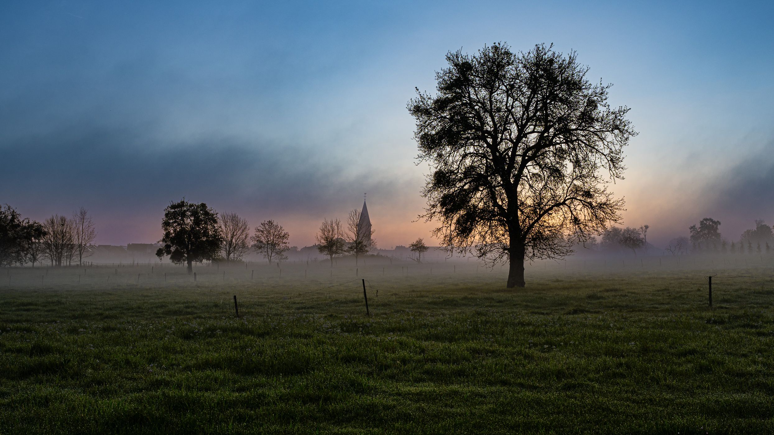 Morning in Berdorf, Luxembourg