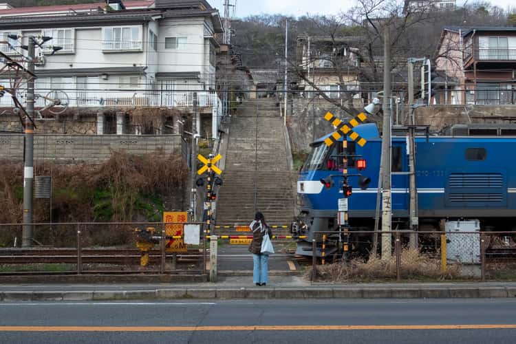 Onomichi vibs